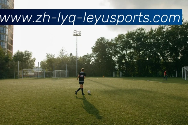 乐鱼体育APP 体育赛事宣传图